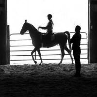 Harris Riding Academy Harris Riding Academy