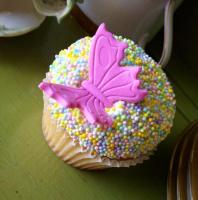 The Painted Cupcake The Painted Cupcake