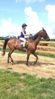 Daybreak Riding Academy Daybreak Riding Academy