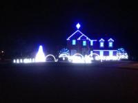 Lipton Lights Lipton Lights