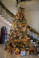 Cheekwood Christmas Tree Cheekwood Christmas Tree