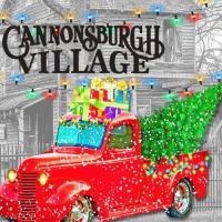Christmas Lights at Cannonsburgh Village