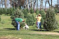 Christmas Tree Adventure - Tree Farm in Hendersonville TN Christmas Tree Adventure - Tree Farm in Hendersonville TN