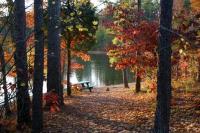 Bowie Park & Nature Center Fairview Tennessee Enjoy Fall Leaves at Bowie Park & Nature Center Fairview Tennessee