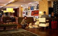 Nashville Hutton Hotel is Pet Friendly Nashville Hutton Hotel is Pet Friendly