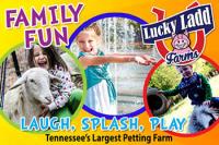 Summer Fun at Lucky Ladd Farms