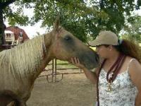 Natchez Trace Stables Natchez Trace Stables
