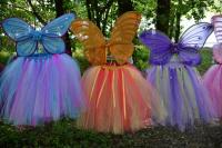 Woodland Fairies Party