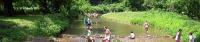 Whippoorwill Farm Day Camp Whippoorwill Farm Day Camp