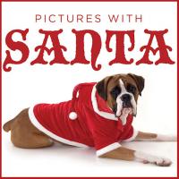 Events for your Pets this Christmas Season
