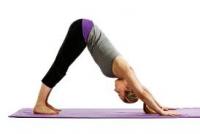 Yoga Center of Nashville Yoga Center of Nashville