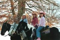 Natchez Trace Stables Natchez Trace Stables