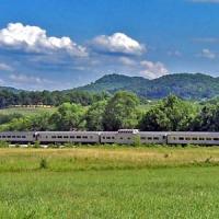 Valentine's Day Murder Mystery Excursion Train Valentine's Day Murder Mystery Excursion Train