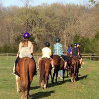 Horseback Riding, Riding Lessons, Horses, Stables,Lessons,Trail rides, Horse Trails