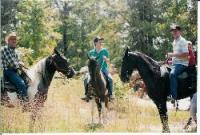 Natchez Trace Stables Natchez Trace Stables