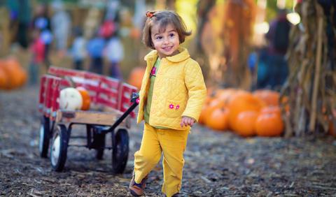 Nashville Area Fall Festivals Little Girl pulling a wagon with a pumpkin at Fall Festival