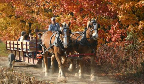 Enjoying a beautiful fall day on the Best Fall Hayrides in Nashville Tennessee