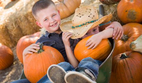 Brothers playing around at Nashville area Pumpkin Patch