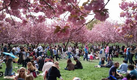 Nashville Springtime Festivals & Events Crowd enjoying a springtime festival at Centennial Park in downtown Nashville