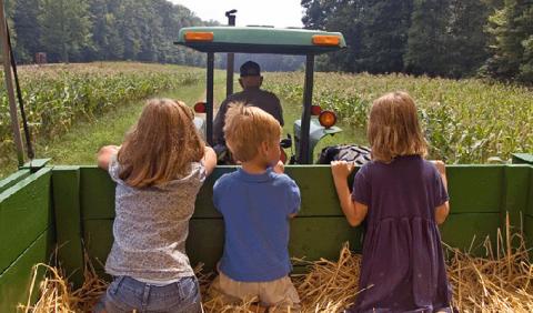 Best Fall Hayrides in Nashville and Middle Tennessee Kids on Hayride in Nashville Tennessee