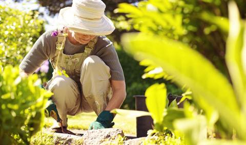 Working in your Nashville Garden Gardening and Outdoor Living in Nashville