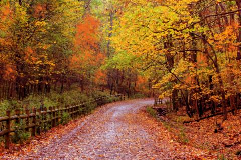 Autumn at Radner Lake in Nashville Tennessee Fall Leaves at Radner Lake Park in Nashville Tennessee