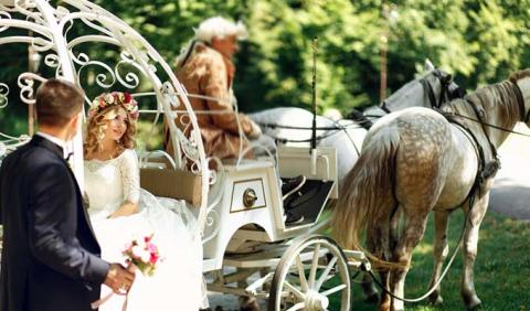 Nashville Bride and Groom on horse drawn carriage ride