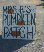 Mrs. B's Pumpkin Patch