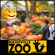 Boo at the Zoo - Nashville Tennessee