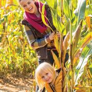 Lucky Ladd's mind-bending corn maze will keep you guessing. Enjoy animal encounters, wagon & pony rides and more at this popular Middle TN fall attraction.
