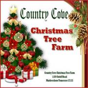 Country Cove Christmas Tree Farm in Mufreesboro Tennessee