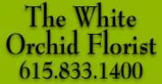White Orchid Florist 