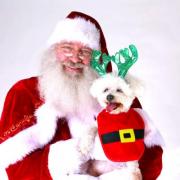 Pet Night With Santa at Rivergate Mall