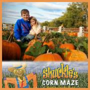 Shuckle's Corn Maze & Pumpkin Patch