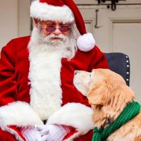 Bring your four-legged family member to join the merriment with Santa in the Frist Learning Center Courtyard.