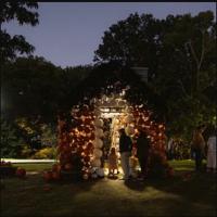Harvest NIGHTS Bootanical Bash