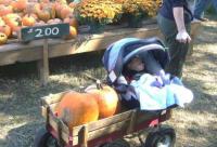 Kids Love Walden Pumpkin Farm