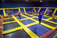 Trampoline - Dodge Ball Trampoline - Dodge Ball