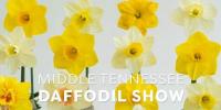 Middle Tennessee Daffodil Show