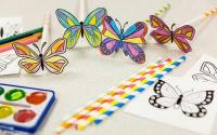 Family Program: Butterfly Bonanza 