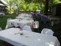 Our Beautiful Courtyard