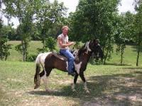 Natchez Trace Riding Stable Natchez Trace Riding Stable