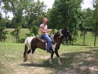 Natchez Trace Riding Stable