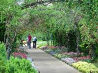 Cheekwood Museum and Gardens