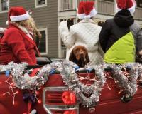 Leiper's Fork Christmas Parade