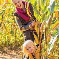Lucky Ladd's mind-bending corn maze will keep you guessing. Enjoy animal encounters, wagon & pony rides and more at this popular Middle TN fall attraction.