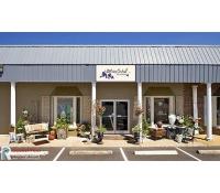 White Orchid Florist White Orchid Florist