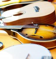 Family Program: Musical Instrument Petting Zoo