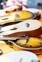 Family Program: Musical Instrument Petting Zoo