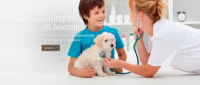 Providence Animal Hospital and Pet Resort Providence Animal Hospital and Pet Resort